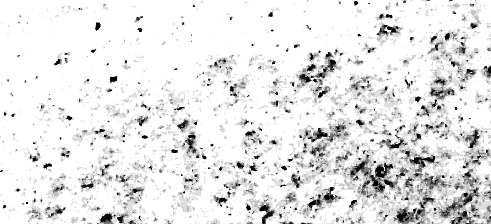 Opal White Tile Metamar Marble